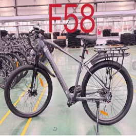 中新华驰【F58】